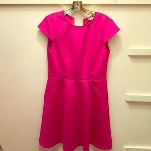 NWOT Pink Ted Baker Fit and Flare Dress- size 6